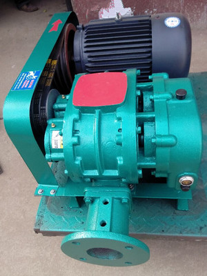 KQSR系列-糧食加工用羅茨風(fēng)機 _供應(yīng)信息_商機_中國食品機械設(shè)備網(wǎng)