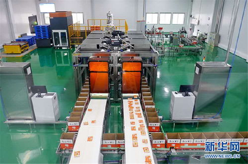 涪陵榨菜 要富農產值也要生態 顏值